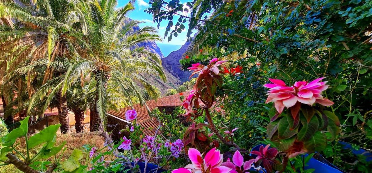 Paradise Tenerife San Miguel de Abona Ngoại thất bức ảnh